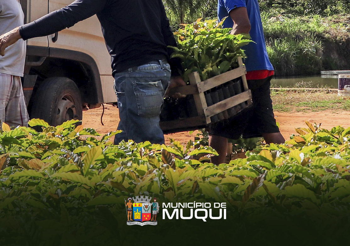 MUNICÍPIO ENTREGA MUDAS A PRODUTORES RURAIS DO MONUMENTO NATURAL SERRA DAS TORRES